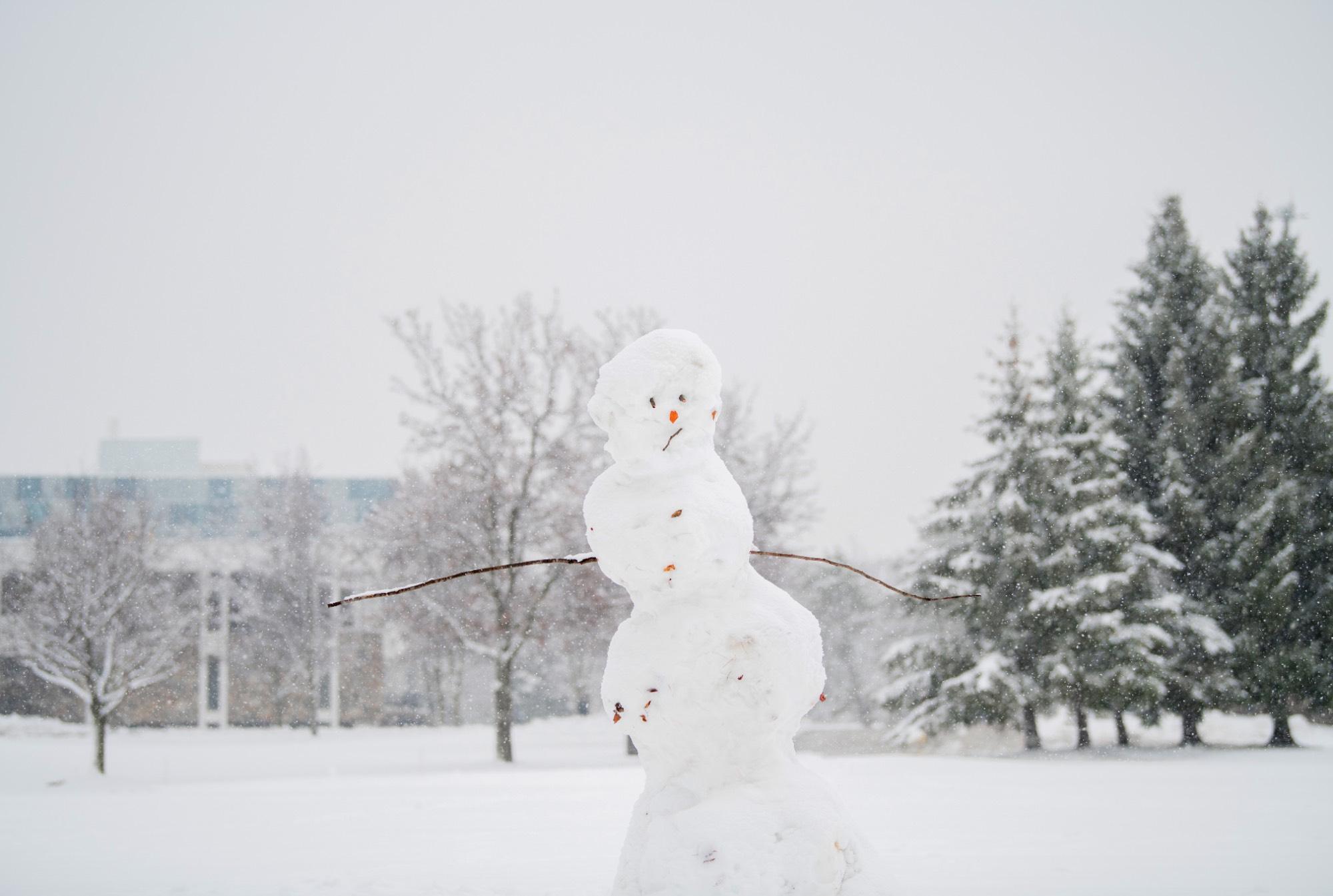 Snowman Photo